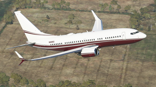AEJ Services 737BBJ (N800KS)