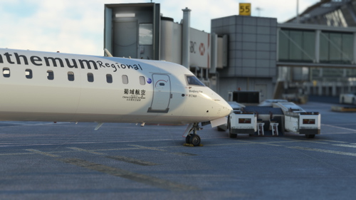 AEROSOFT CRJ-900 Chrysanthemum Regional B-601Z Qianjiangjiza