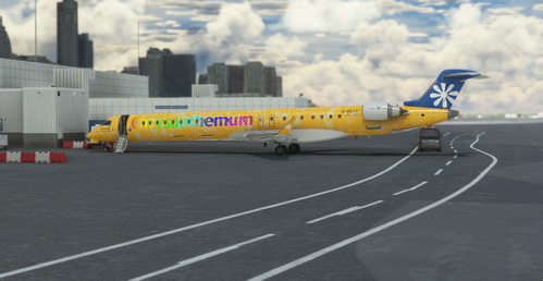 Aerosoft CRJ1000 - Chrysanthemum(Virtual)