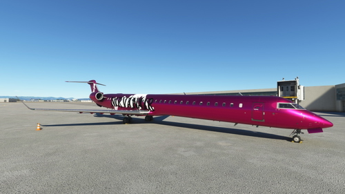 Aerosoft - CRJ1000 - NIRVANAIR (8K)