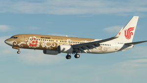 Air China (B-5390 - "Gold Peony") - PMDG 737-800 thumbnail 7