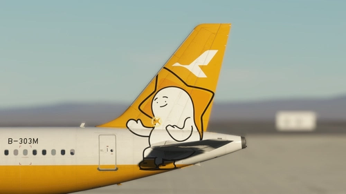 Air Travel