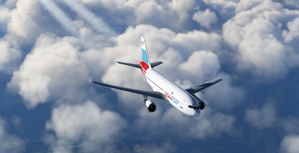 Airbus A310-300 Aeroflot (F-OGQS) thumbnail 3