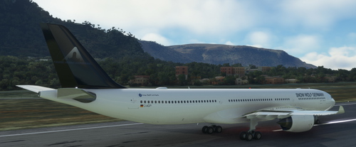 Airbus A330-900 Snow Wolf Germany