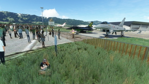 Airpower  Airshow for Microsoft Flight Simulator thumbnail 15