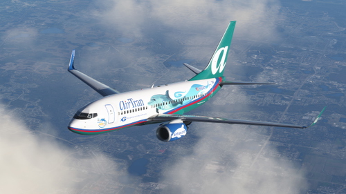 AirTran (GA Aquarium / Dolphin Tales) - PMDG 737-700