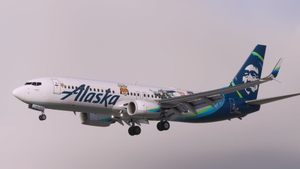 Alaska Airlines 'Disney Pixar - Toy Story 4' N589AS - PMDG 737-800 thumbnail 2