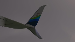 Alaska Airlines 'Disney Pixar - Toy Story 4' N589AS - PMDG 737-800 thumbnail 8