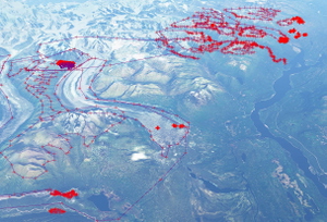 Alaska Denali Area Tree and Lake FIX thumbnail 2