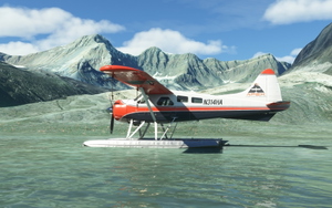 Alaska Denali Area Tree and Lake FIX thumbnail 9