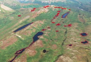Alaska Denali Area Tree and Lake FIX thumbnail 3