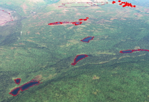 Alaska Denali Area Tree and Lake FIX thumbnail 4