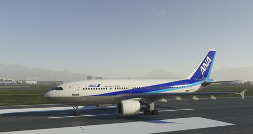 ALL NIPPON AIRWAYS(ANA) AIRBUS A310 