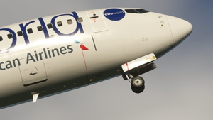 American Airlines [4K] Oneworld & Standard Pack - PMDG 737-800 thumbnail 11