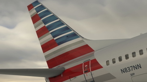 American Airlines [4K] Oneworld & Standard Pack - PMDG 737-800 thumbnail 10