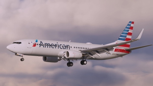 American Airlines [4K] Oneworld & Standard Pack - PMDG 737-800 thumbnail 7