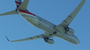 American Airlines 5 livery Fleet thumbnail 15