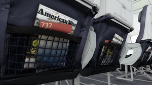 American Airlines [Pack] w/Cabin PMDG B737-800 thumbnail 19