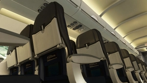 American Airlines Pack [w/ Interior] Fenixsim A320 [8K+4K] thumbnail 7