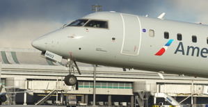 American Eagle/Mesa (Pack) thumbnail 3