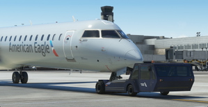 American Eagle/Mesa (Pack) thumbnail 6