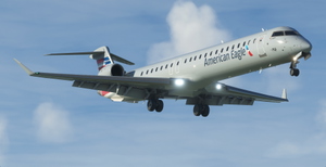 American Eagle/PSA (Pack) thumbnail 2