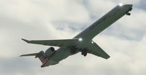 American Eagle/PSA (Pack) thumbnail 6