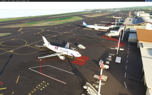 Aéroport Roland Garros - La Réunion - OACI: FMEE thumbnail 20