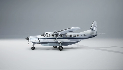 Asobo C208 | Wilderness Air | A2-EGL and V5-ELE