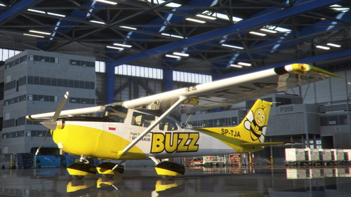 Asobo Cessna 172SP Skyhawk AS1000 "SP-TJA" BUZZ (Fictional)