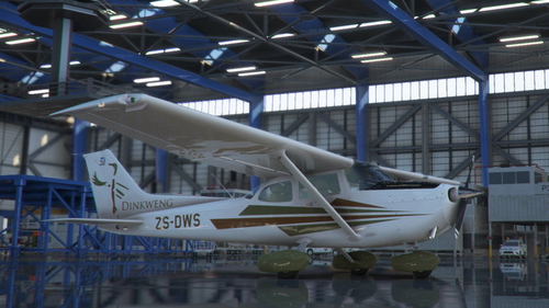 Asobo Cessna 172SP Skyhawk AS1000 "ZS-DWS" Dinkweng Private Reserve