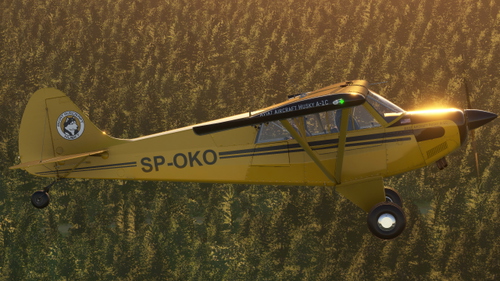 Aviat Husky A-1C SP-OKO