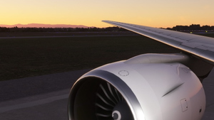 B777-300er Wing Views thumbnail 6