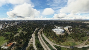 Balboa Park vegetation overhaul, San Diego, CA thumbnail 4