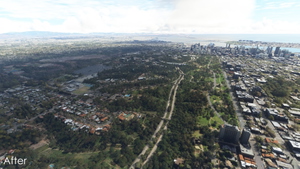 Balboa Park vegetation overhaul, San Diego, CA thumbnail 6