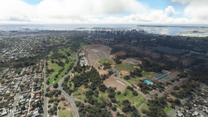 Balboa Park vegetation overhaul, San Diego, CA thumbnail 10