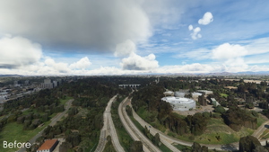 Balboa Park vegetation overhaul, San Diego, CA thumbnail 3