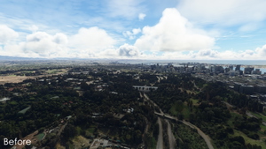 Balboa Park vegetation overhaul, San Diego, CA thumbnail 5