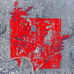 Balboa Park vegetation overhaul, San Diego, CA thumbnail 16