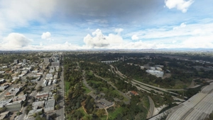 Balboa Park vegetation overhaul, San Diego, CA thumbnail 13