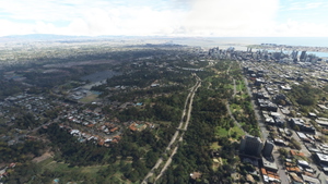 Balboa Park vegetation overhaul, San Diego, CA thumbnail 14