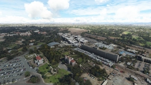 Balboa Park vegetation overhaul, San Diego, CA thumbnail 12