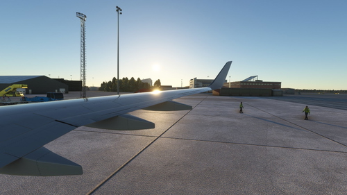 [BCF] PMDG 737-800 Custom Views