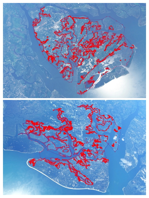 Beaufort SC Marshes ( trees removed)