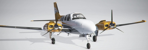Beechcraft Baron G58 - Gold Virtual Airlines - 10 Years