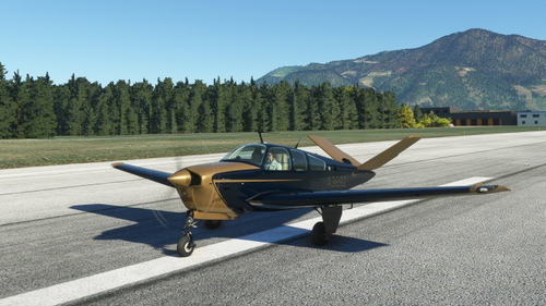 Beechcraft Bonanza V35B in Dark Blue and Gold