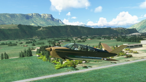 Beechcraft Bonanza V35B in Dark Green and Gold