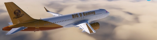 BIG,DRIZZLE,GAMING