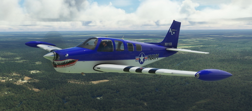 Black Square Analog A36 Bonanza N911GS Navy Shark