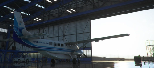 BlueStar Airlines Cessna C208 Livery